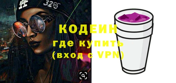 хмурый Верея
