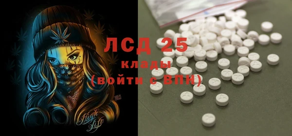 хмурый Верея