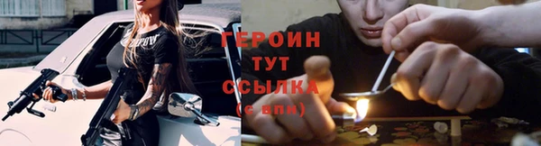 хмурый Верея