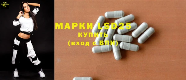 хмурый Верея