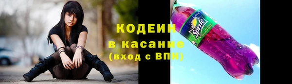 хмурый Верея