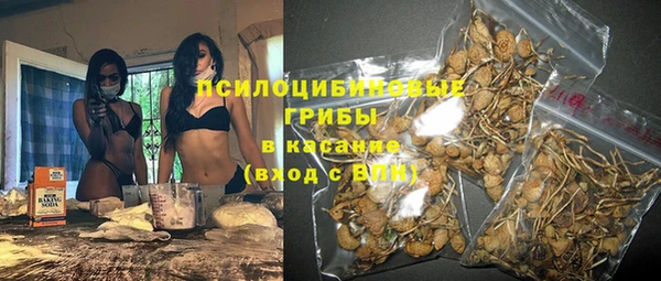 хмурый Верея