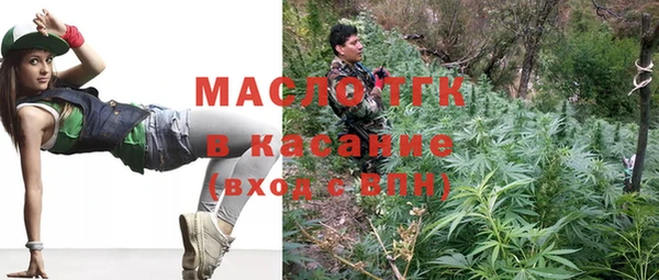 хмурый Верея