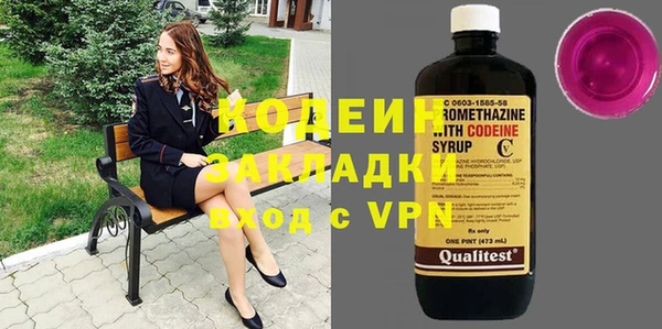 хмурый Верея