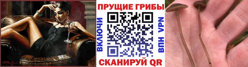цены наркотик Семёнов Псилоцибиновые грибы мухоморы
